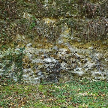 Vestiges du castellum romain de Larçay