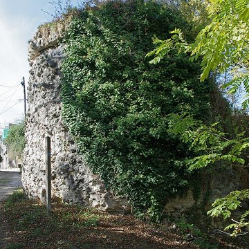 Vestiges du castellum romain de Larçay