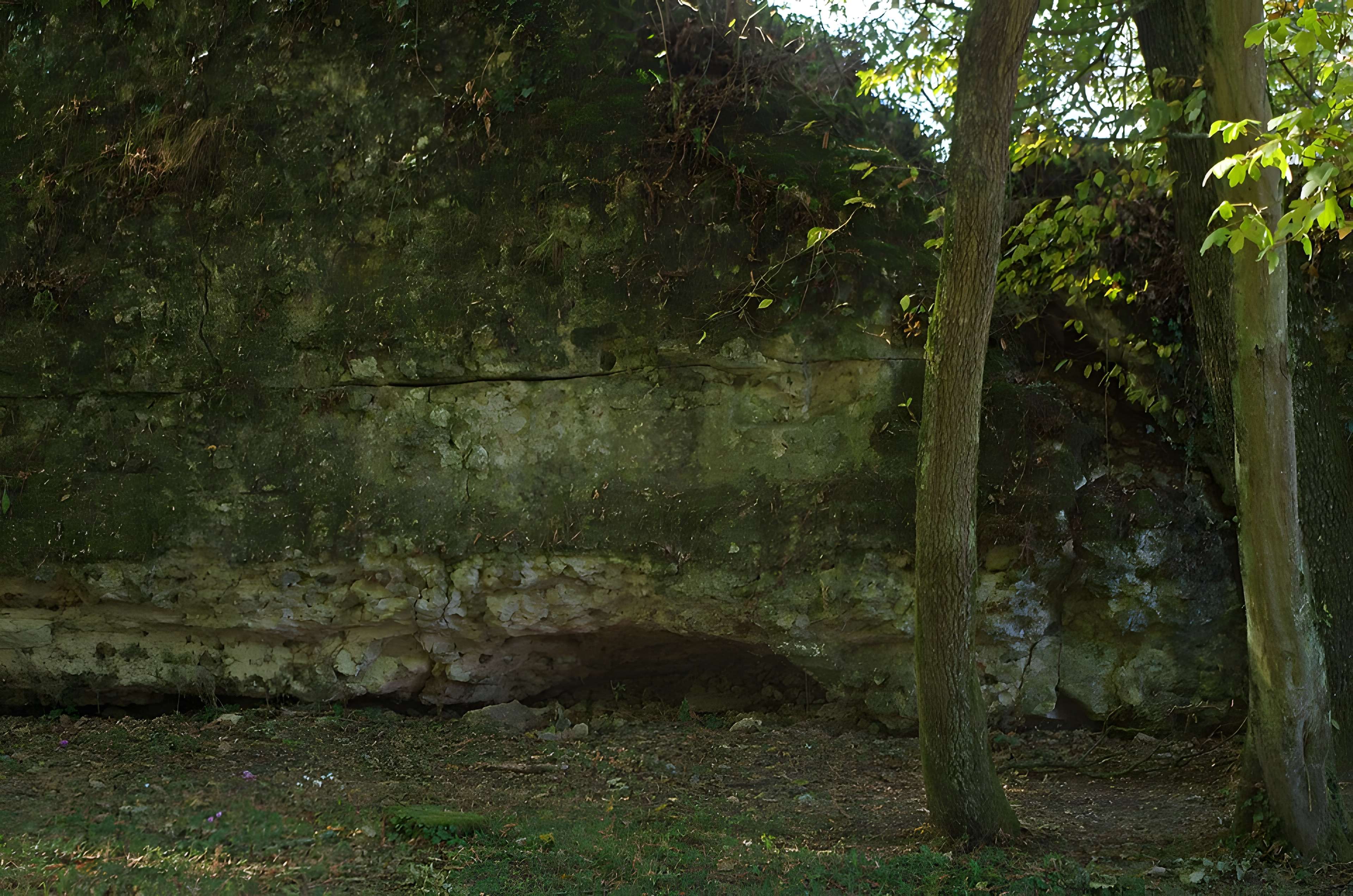 Vestiges du castellum romain de Larçay