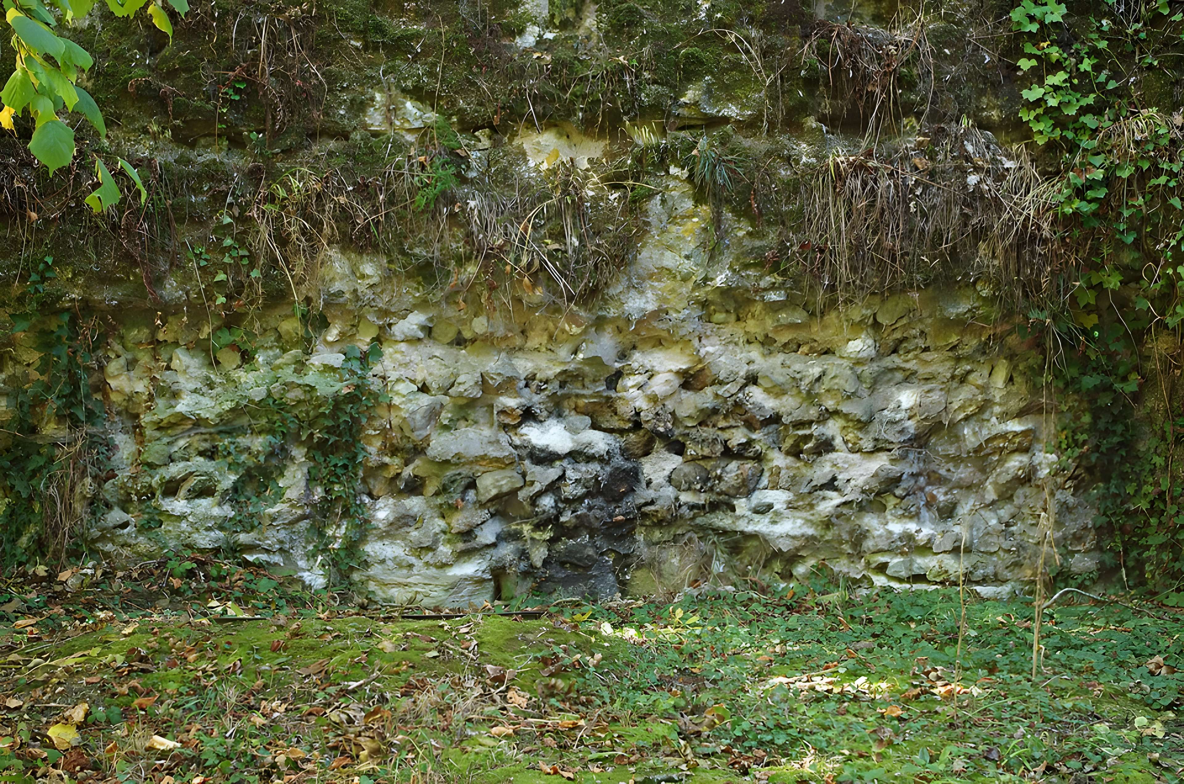 Vestiges du castellum romain de Larçay
