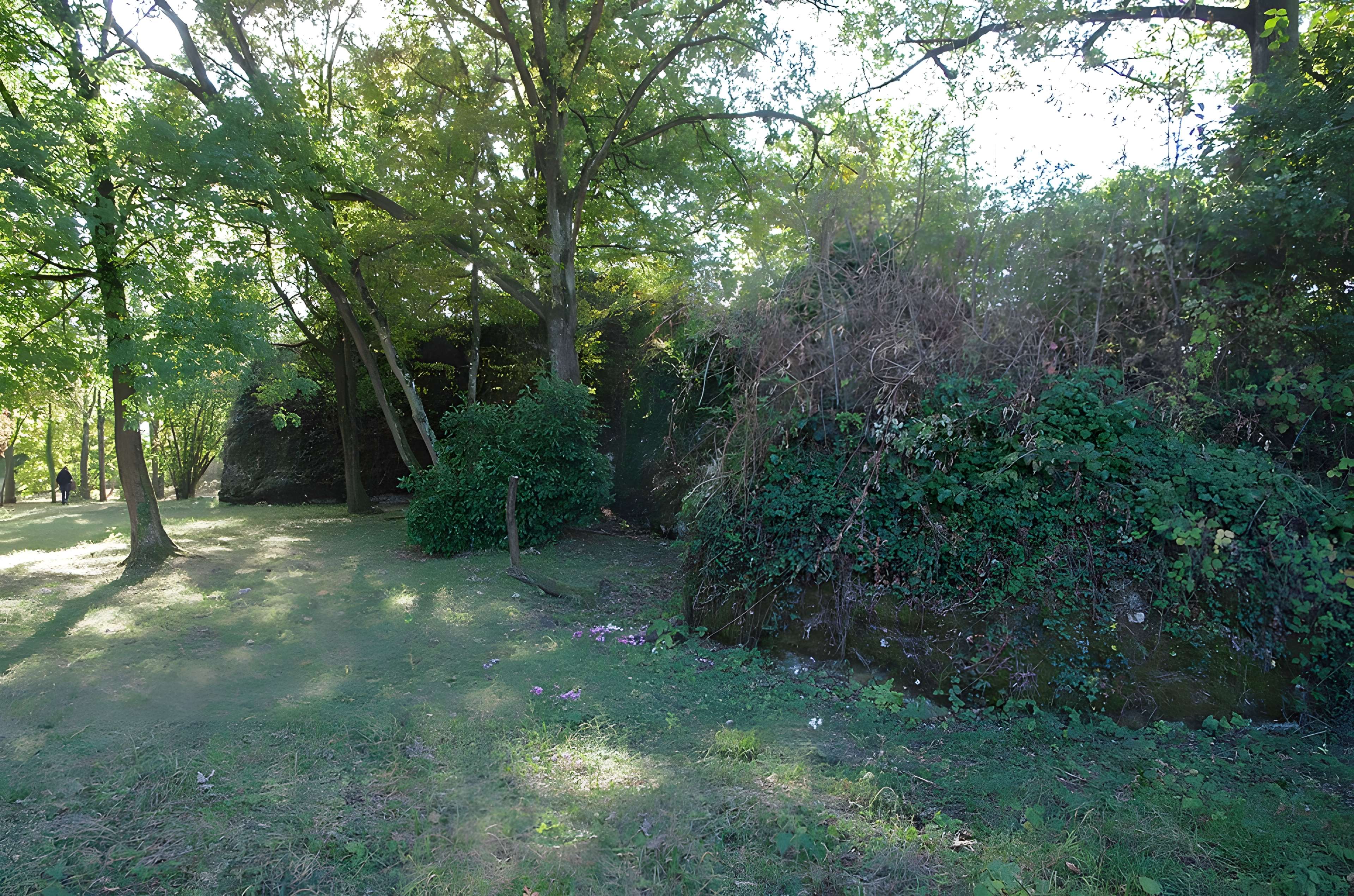 Vestiges du castellum romain de Larçay