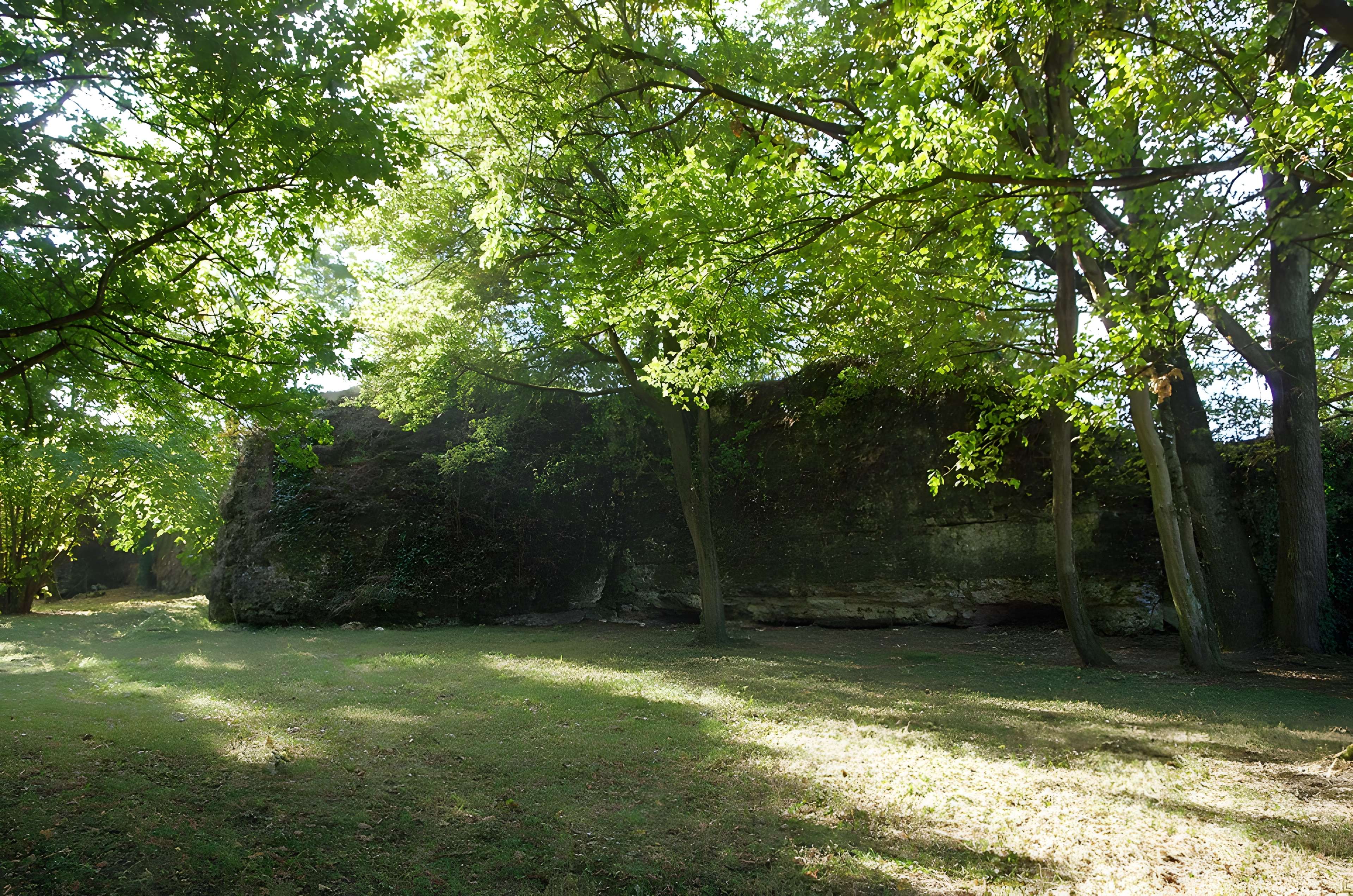 Vestiges du castellum romain de Larçay