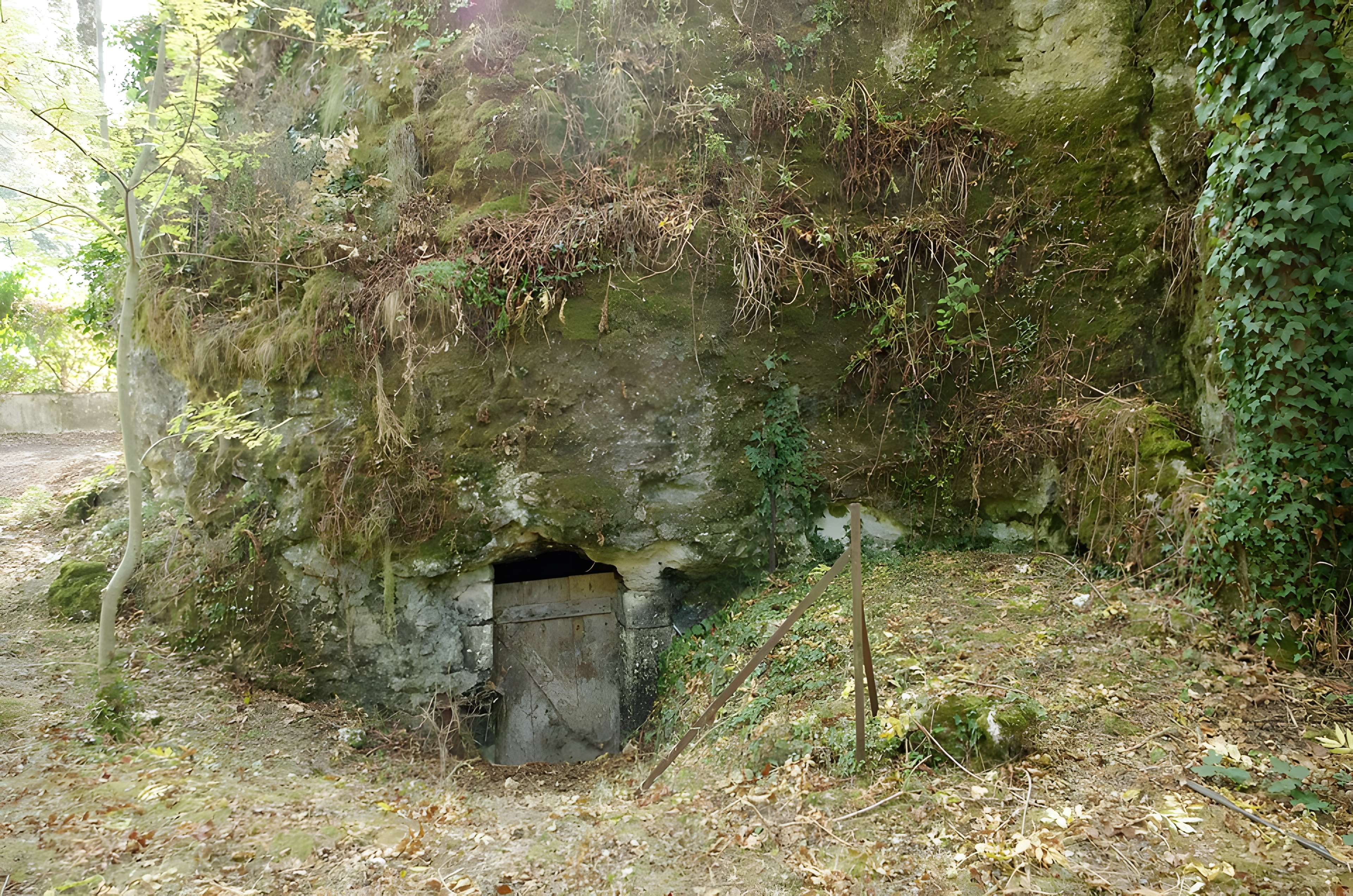 Vestiges du castellum romain de Larçay