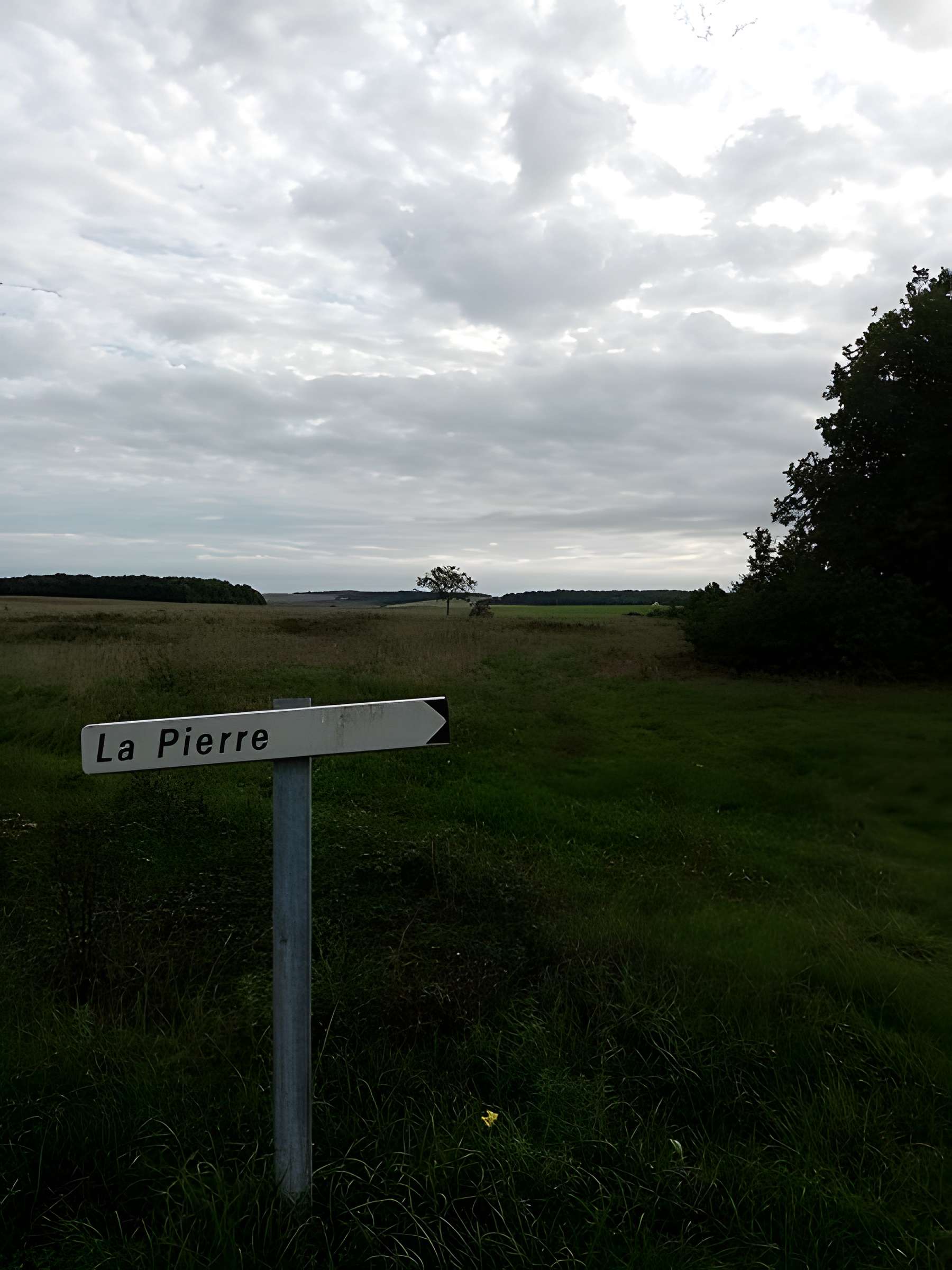 Vestiges du fanum gallo-romain de Marcé-sur-Esves