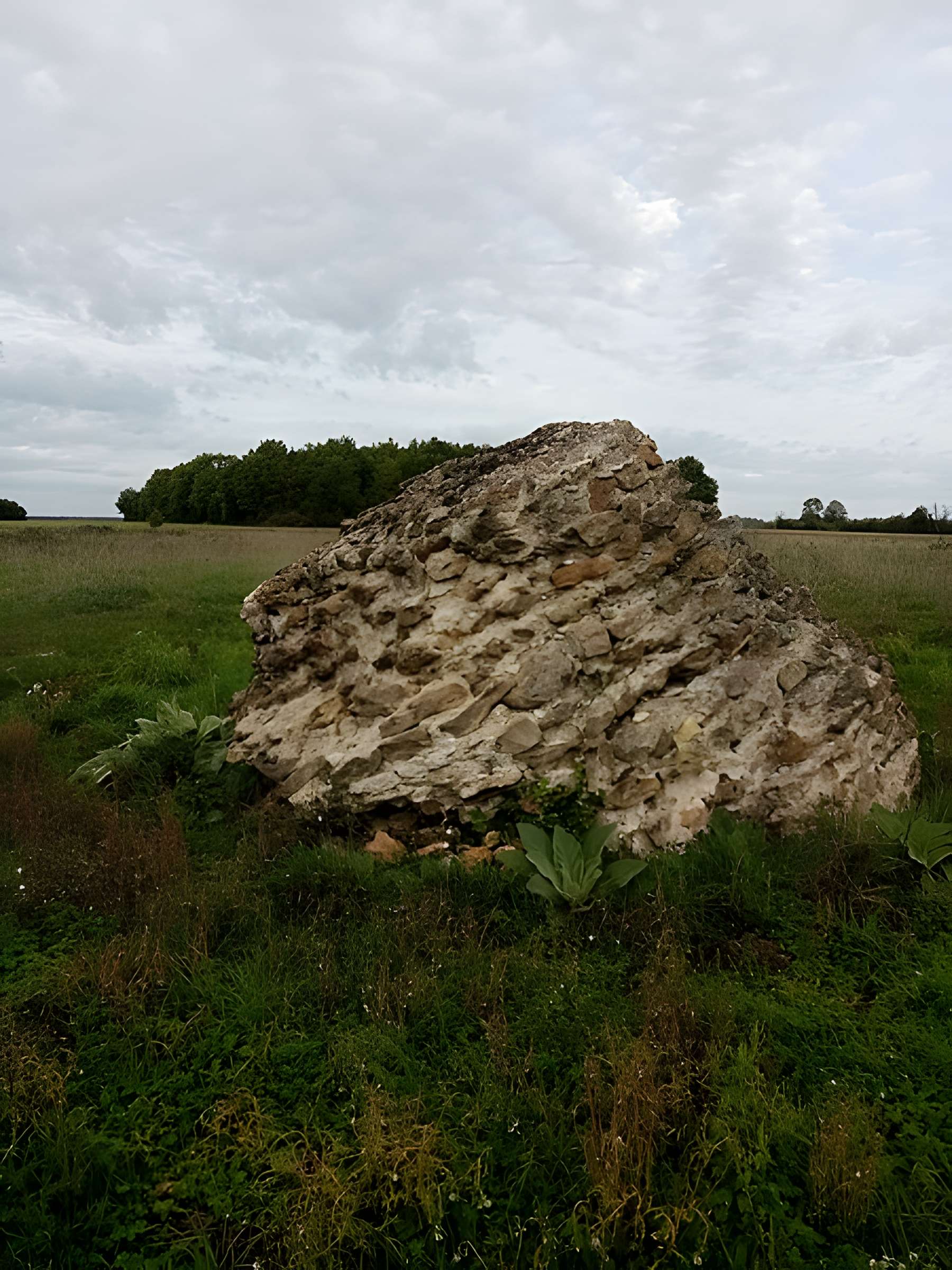 Vestiges du fanum gallo-romain de Marcé-sur-Esves