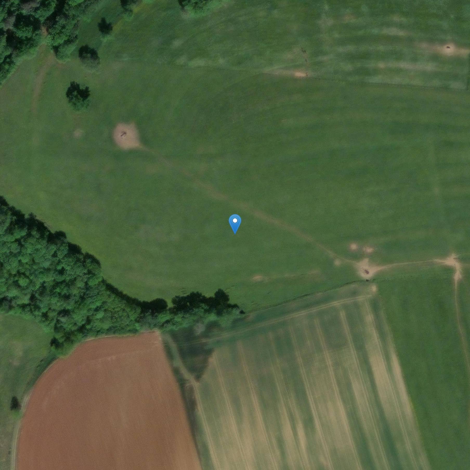 Photo de Prehistoric vestiges of the wood from Vergentière to Cohons