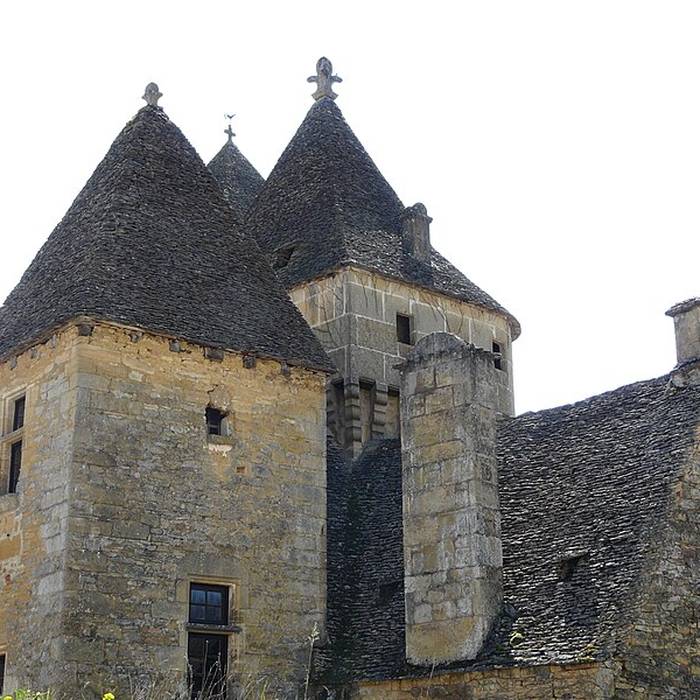 Photo de Vieux château de Saint-Geniès