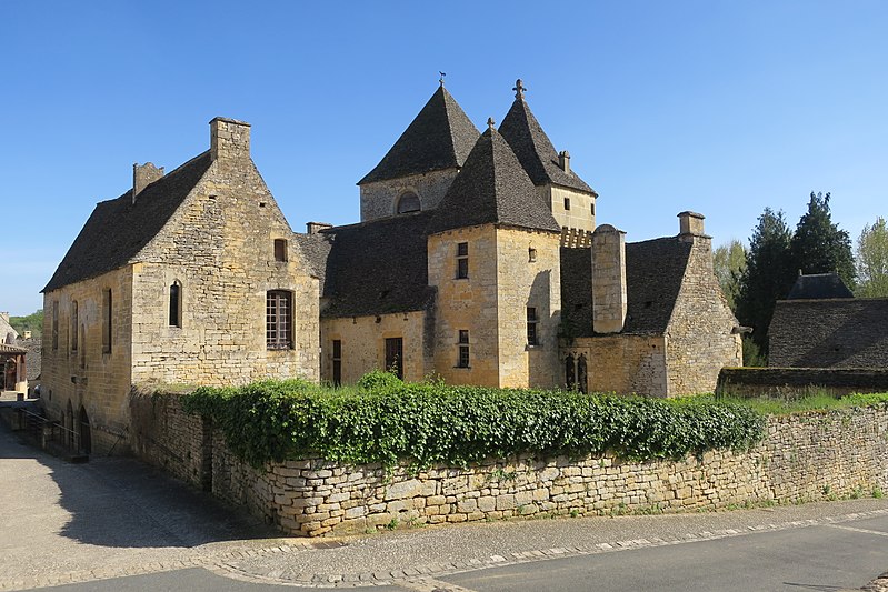 Vieux château de Saint-Geniès