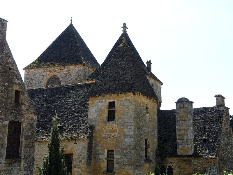 Vieux château de Saint-Geniès