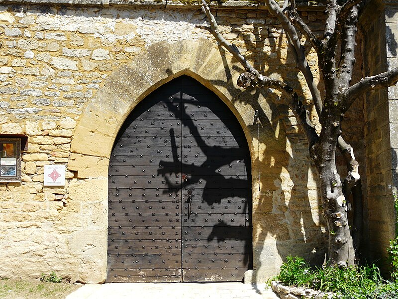 Vieux château de Saint-Geniès