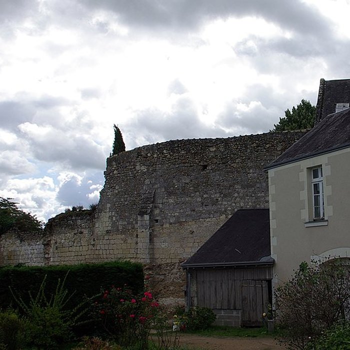 Photo de Vieux Château de Saint-Michel-sur-Loire