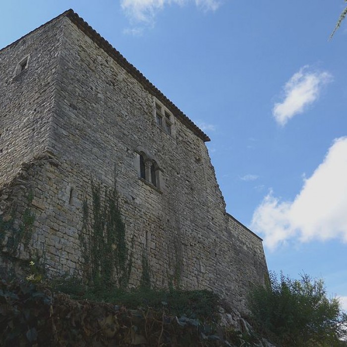 Photo de Vieux château de Saint-Thomé