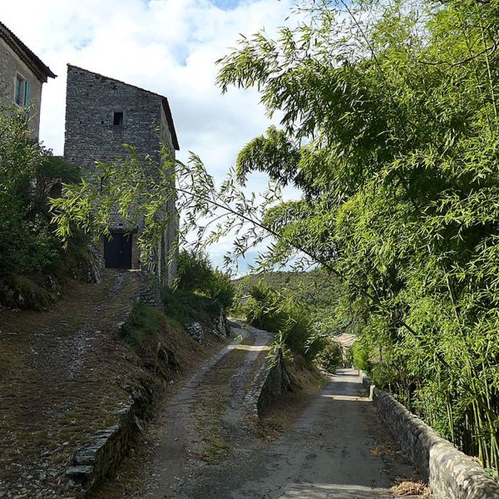 Photo de Vieux château de Saint-Thomé