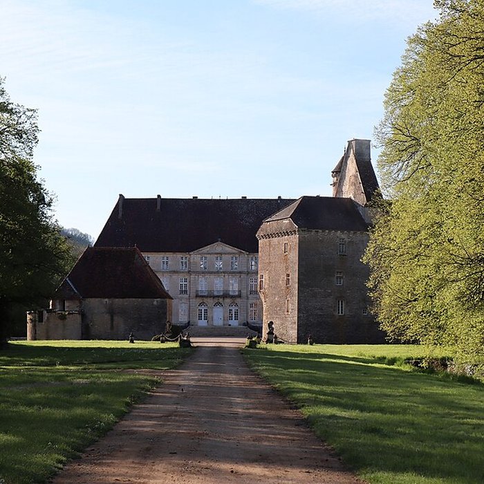 Photo de Vieux château de Thenissey