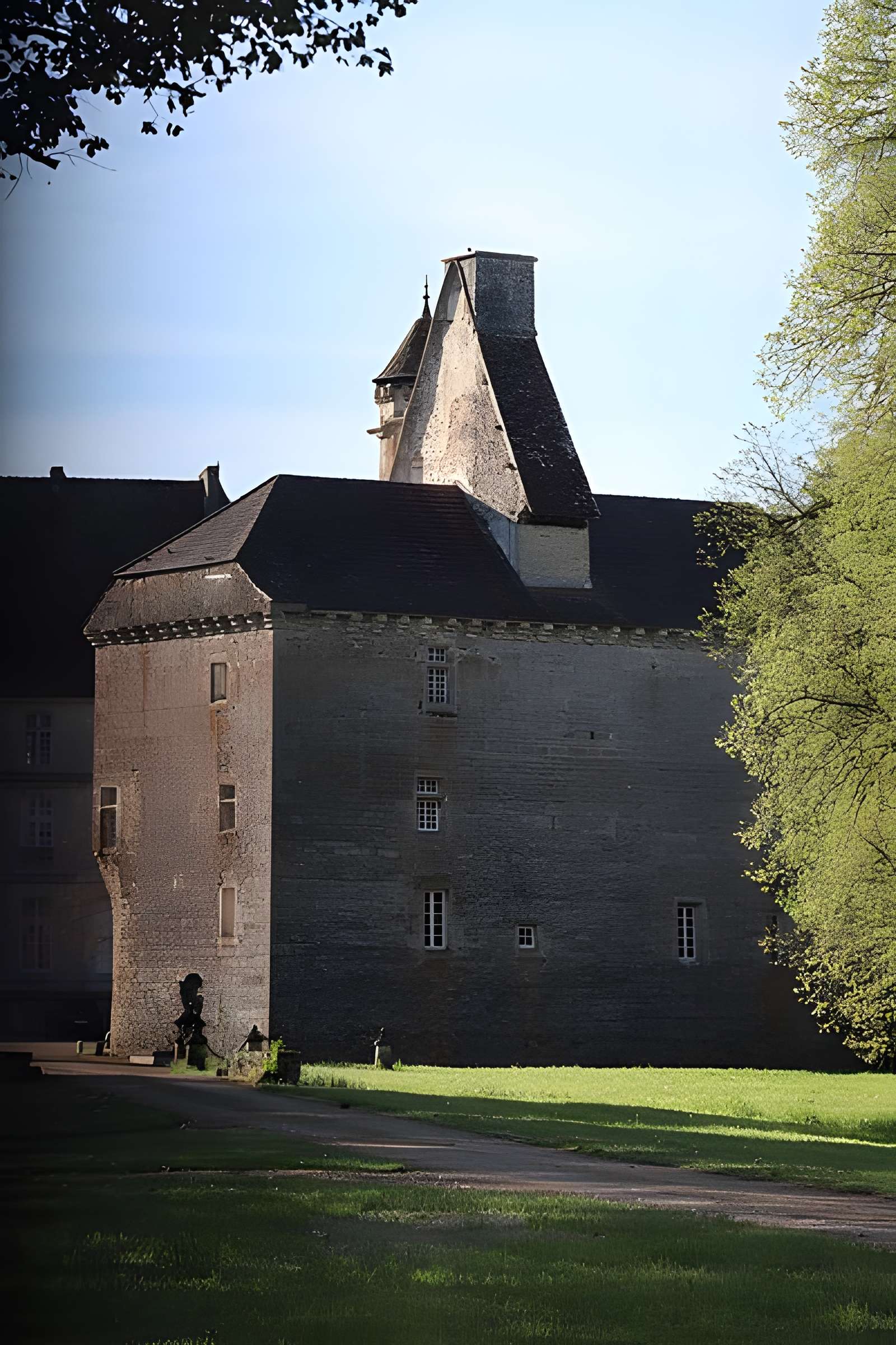Vieux château de Thenissey