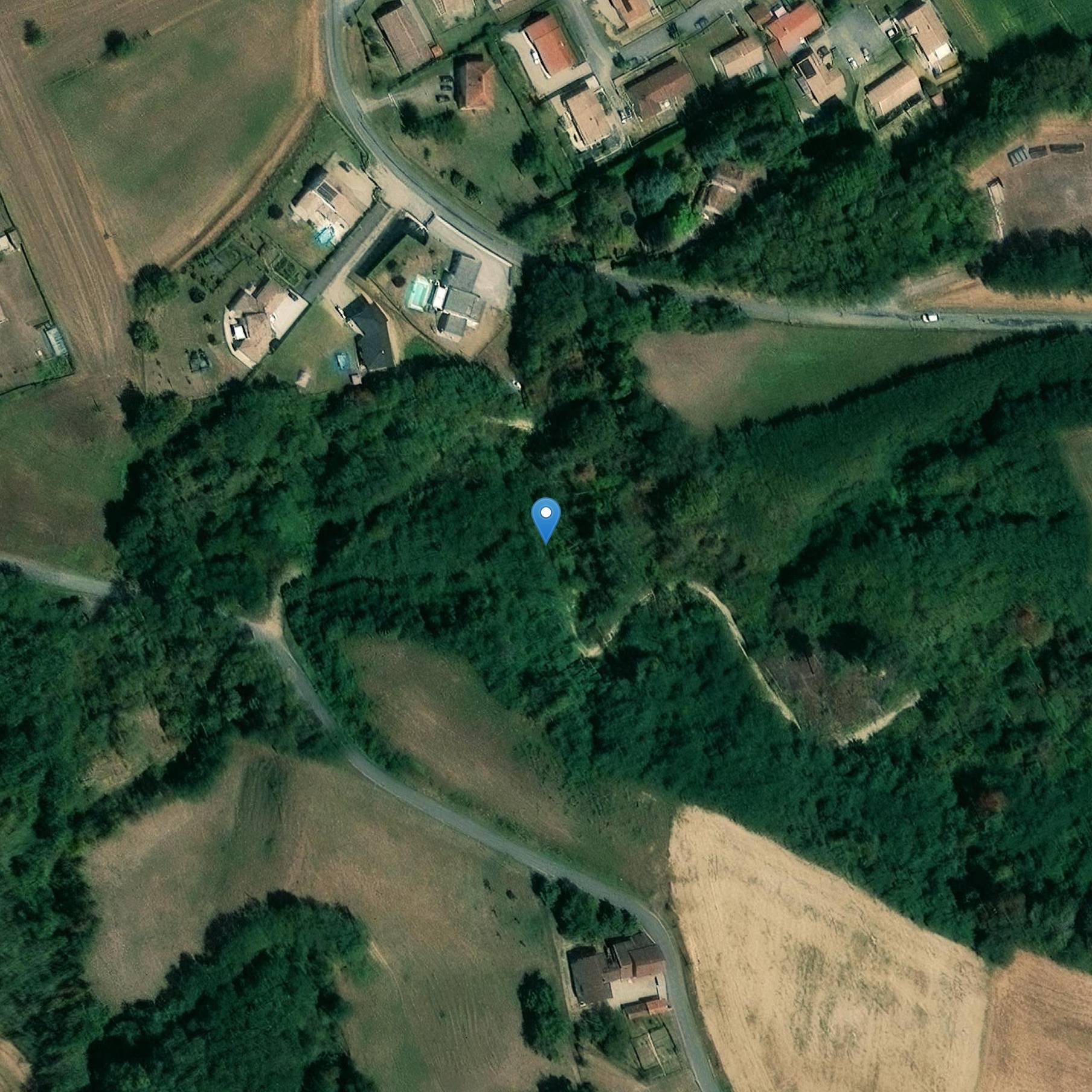 Photo de Villa Alicius van de factor Paard in Hauterives