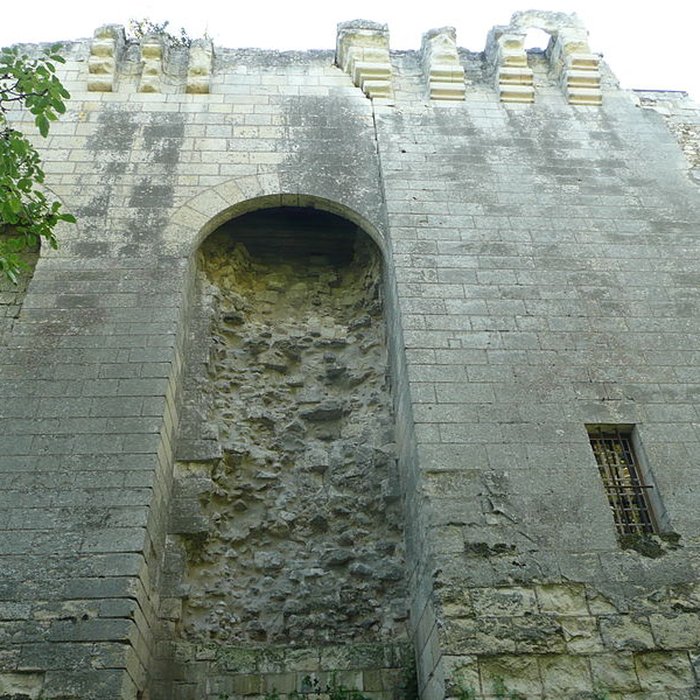 Photo de Château de la Grézille