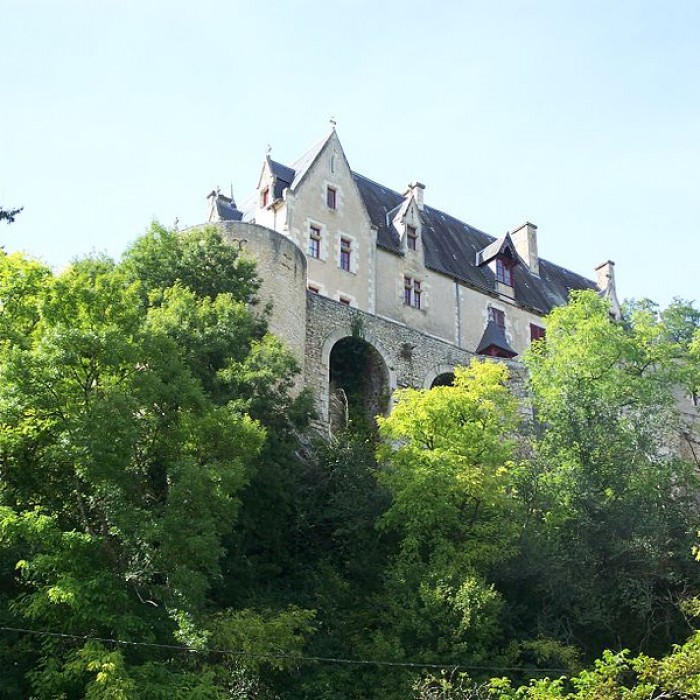 Photo de Château de la Guittière