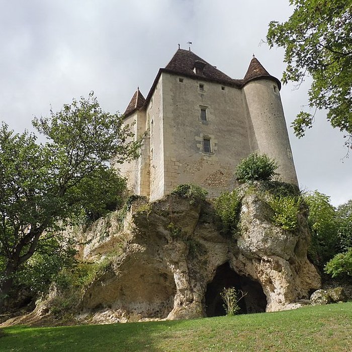 Photo de Château de la Guittière
