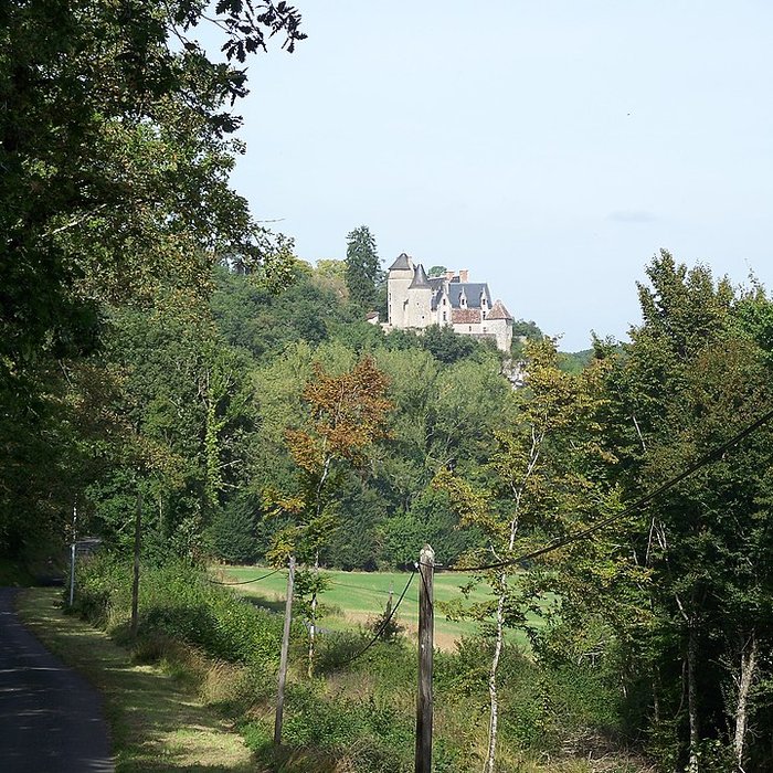 Photo de Château de la Guittière