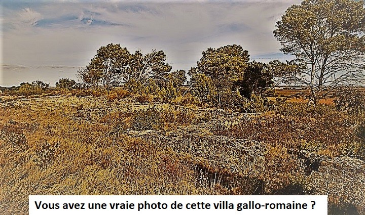 Photo de Villa gallo-romaine de Lespignan