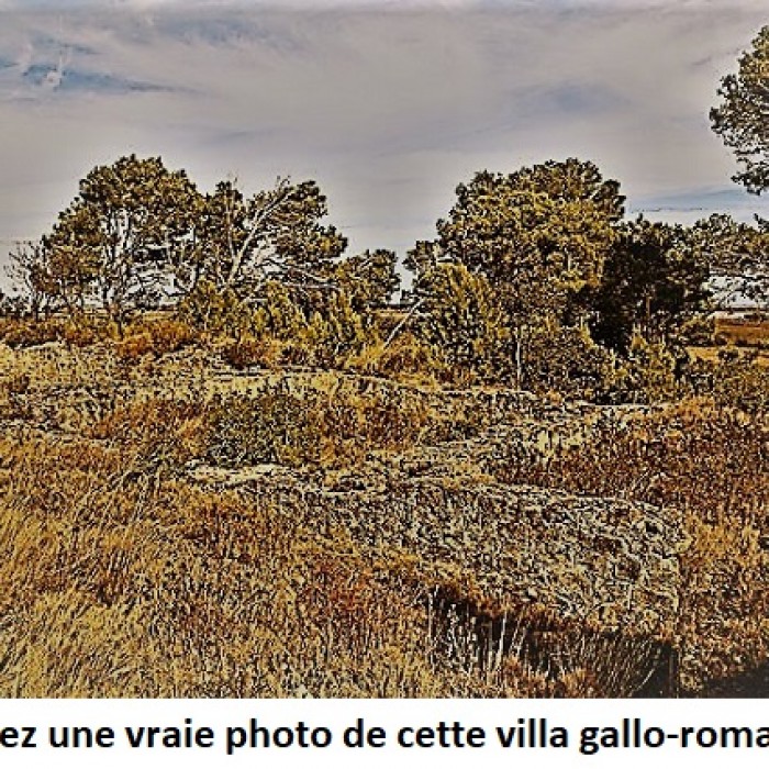 Photo de Villa gallo-romaine de Lespignan