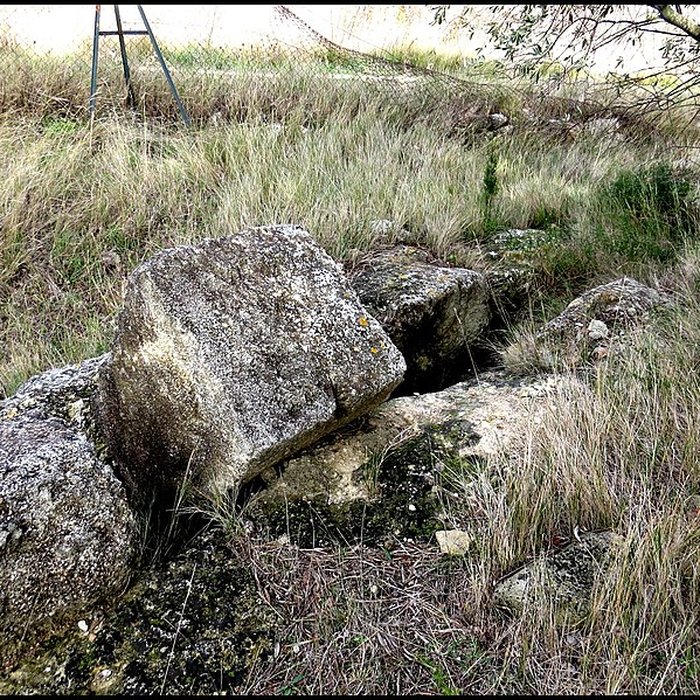 Photo de Villa gallo-romaine de Lespignan