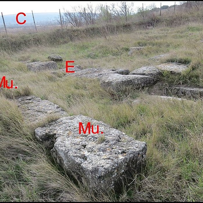 Photo de Villa gallo-romaine de Lespignan