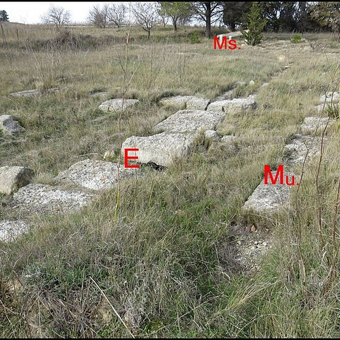 Photo de Villa gallo-romaine de Lespignan