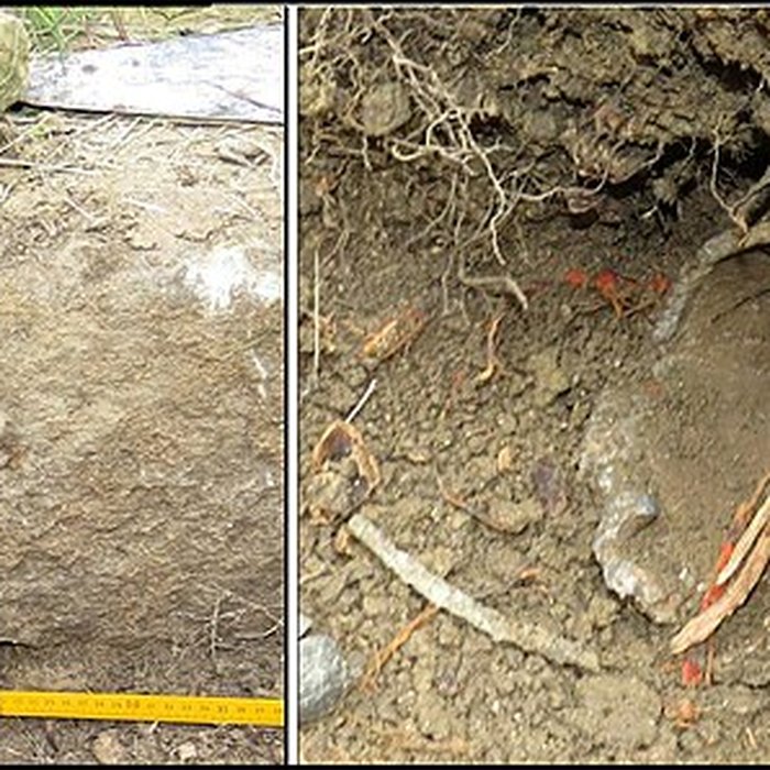 Photo de Villa gallo-romaine de Lespignan