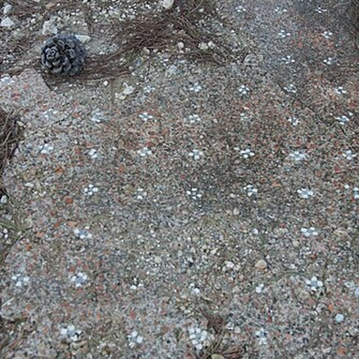 Photo de Villa gallo-romaine de Lespignan