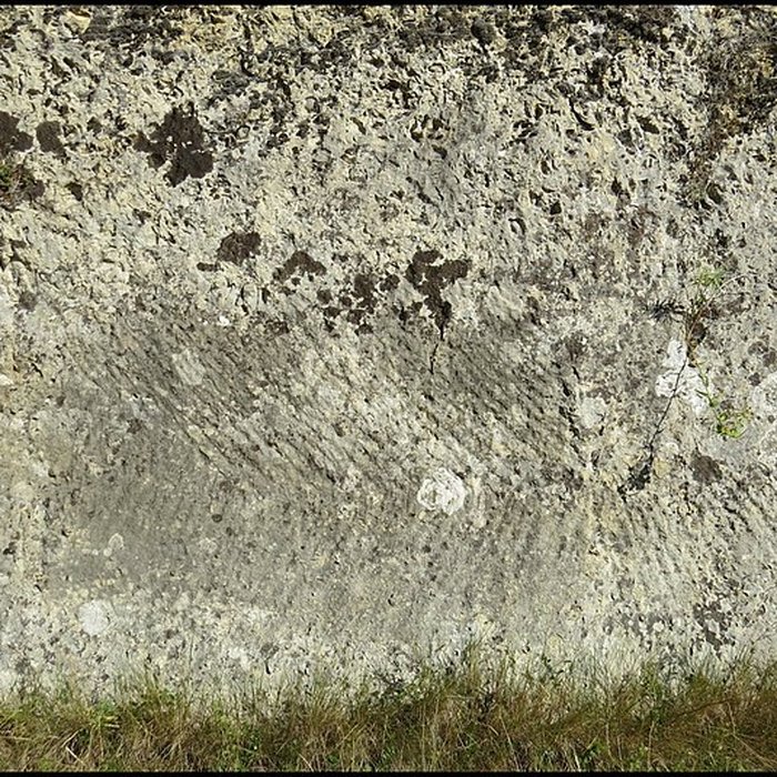 Photo de Villa gallo-romaine de Lespignan