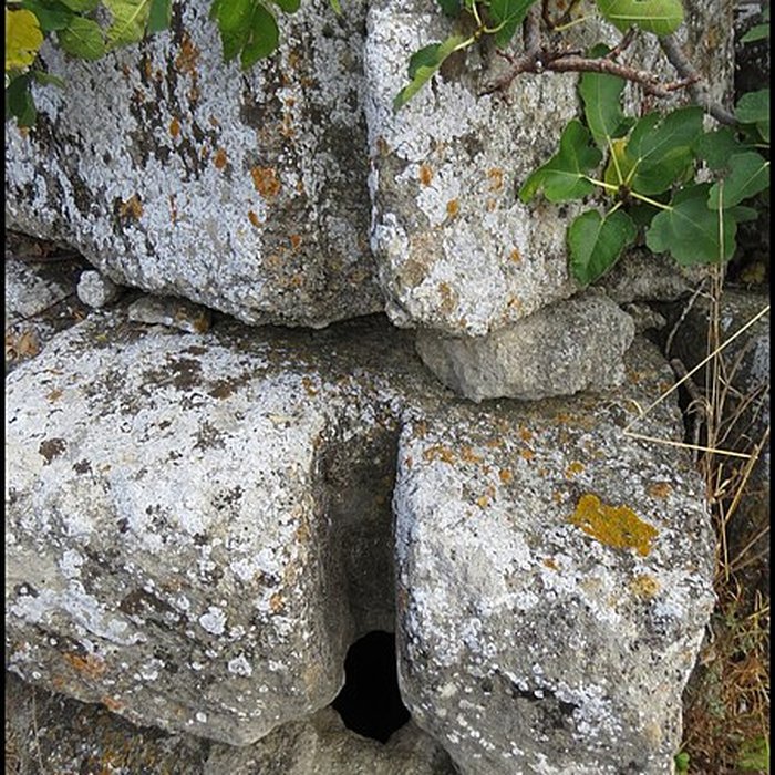 Photo de Villa gallo-romaine de Lespignan