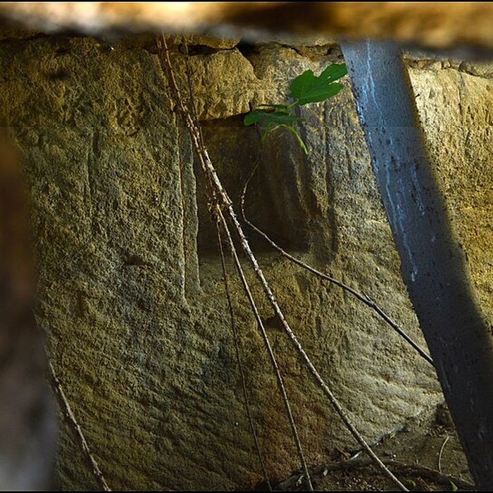 Photo de Villa gallo-romaine de Lespignan