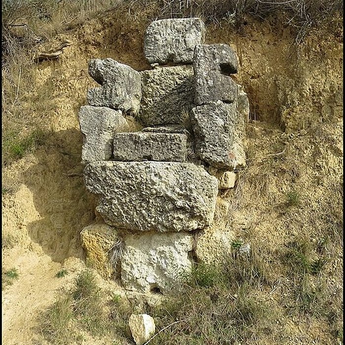 Photo de Villa gallo-romaine de Lespignan