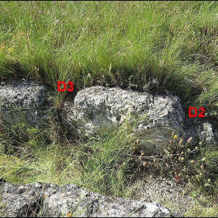 Photo de Villa gallo-romaine de Lespignan