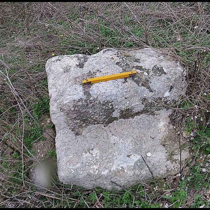 Photo de Villa gallo-romaine de Lespignan