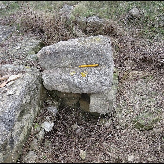 Photo de Villa gallo-romaine de Lespignan