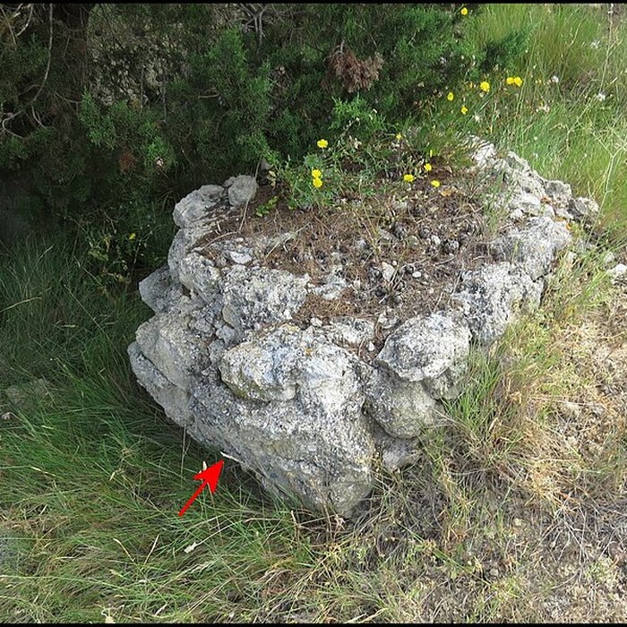Photo de Villa gallo-romaine de Lespignan