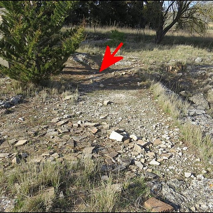 Photo de Villa gallo-romaine de Lespignan