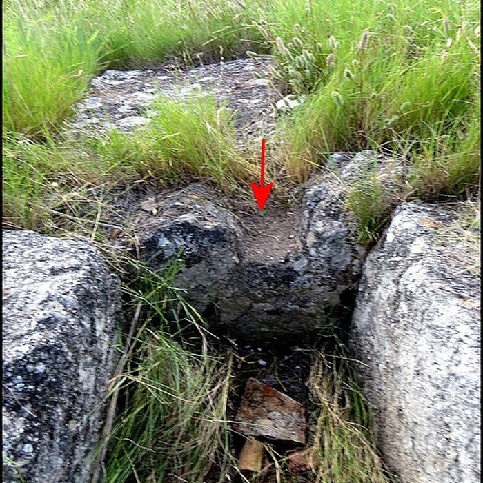 Photo de Villa gallo-romaine de Lespignan