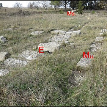 Villa gallo-romaine de Lespignan