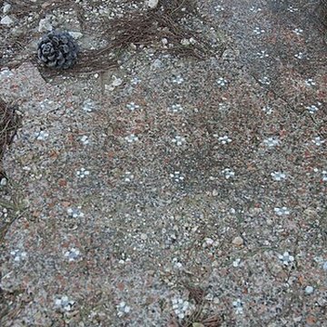 Villa gallo-romaine de Lespignan