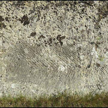 Villa gallo-romaine de Lespignan