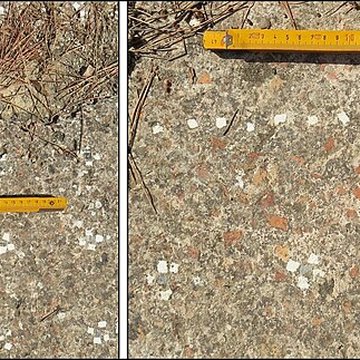 Villa gallo-romaine de Lespignan