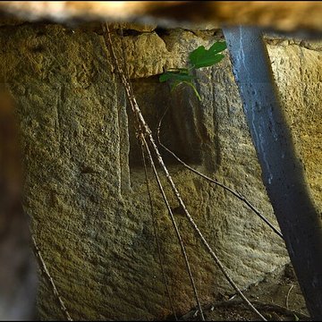 Villa gallo-romaine de Lespignan