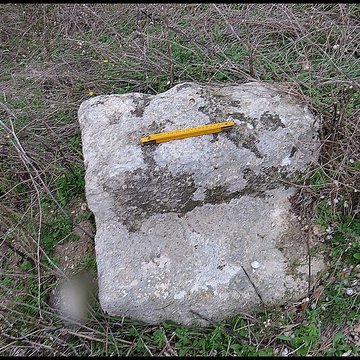 Villa gallo-romaine de Lespignan