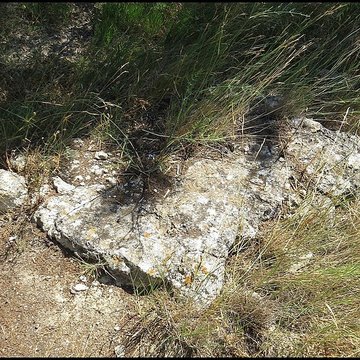 Villa gallo-romaine de Lespignan