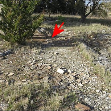 Villa gallo-romaine de Lespignan