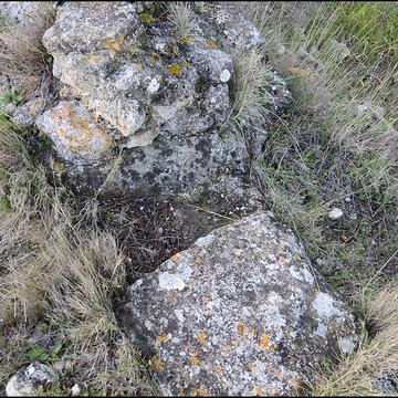 Villa gallo-romaine de Lespignan